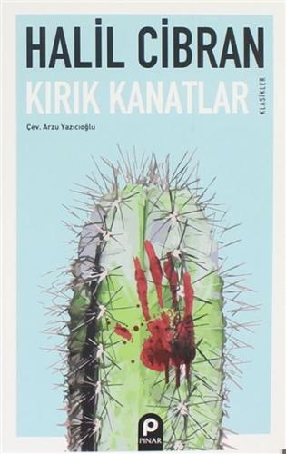 Kırık Kanatlar | Kitap Ambarı