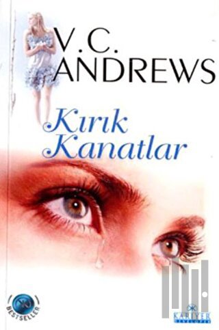 Kırık Kanatlar | Kitap Ambarı