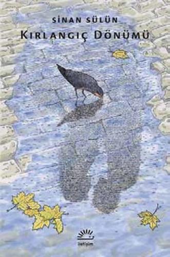 Kırlangıç Dönümü | Kitap Ambarı