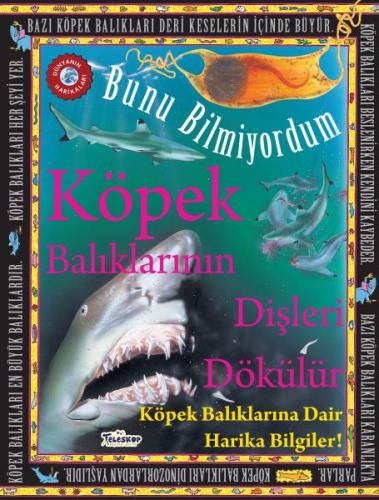 Köpek Balıklarının Dişleri Dökülür - Bunu Bilmiyordum - Köpek Balıklarına Dair Harika Bilgiler!