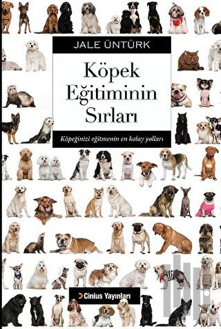 Köpek Eğitiminin Sırları