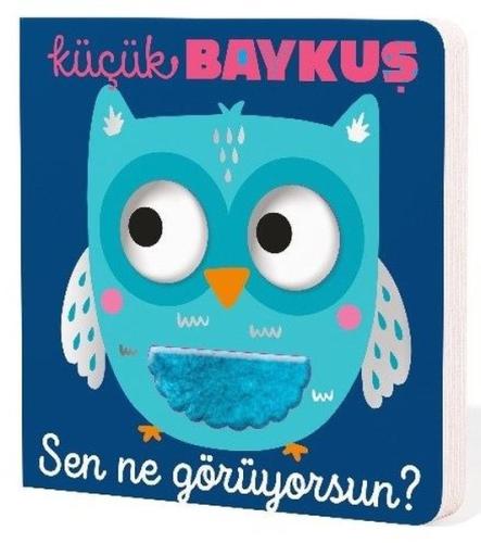 Küçük Baykuş - Sen Ne Görüyorsun? (Ciltli)