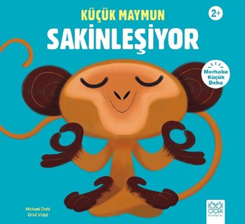 Küçük Maymun Sakinleşiyor | Kitap Ambarı