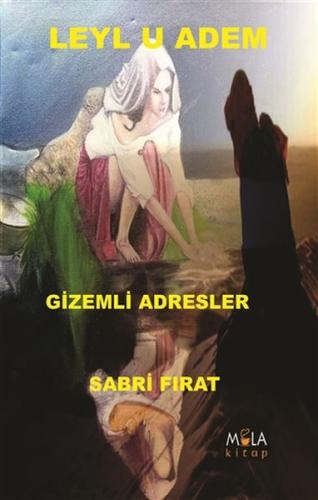 Leylu Adem Gizemli Adresler | Kitap Ambarı