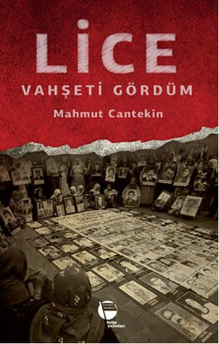 Lice-Vahşeti Gördüm