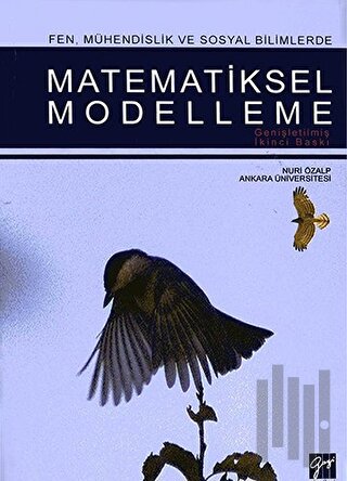 Matematiksel Modelleme
