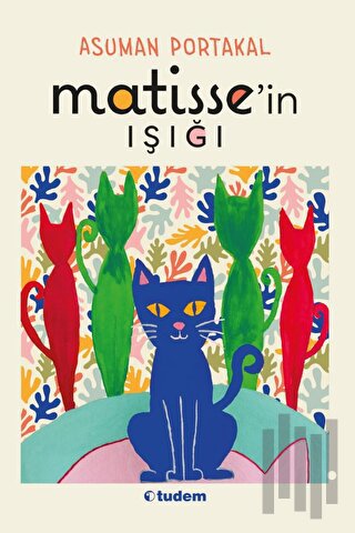 Matisse'in Işığı | Kitap Ambarı