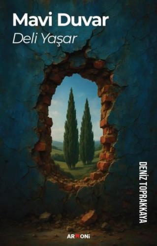 Mavi Duvar Deli Yaşar | Kitap Ambarı