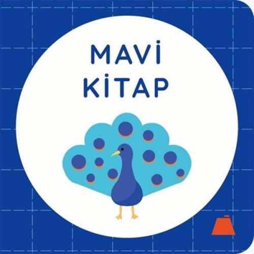 Mavi Kitap (Ciltli)