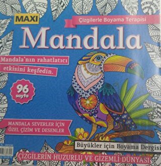 Maxi Mandala - Çizgilerle Boyama Terapisi