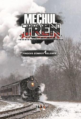 Meçhul Tren | Kitap Ambarı