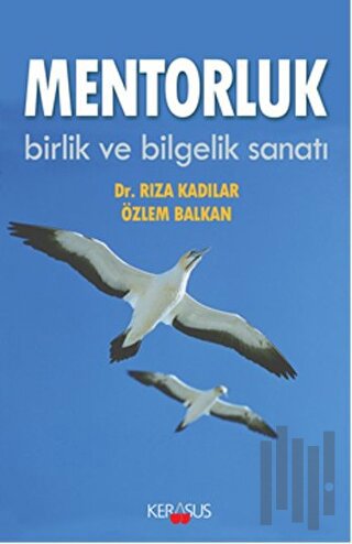 Mentorluk | Kitap Ambarı