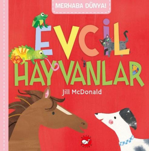 Merhaba Dünya! Evcil Hayvanlar | Kitap Ambarı