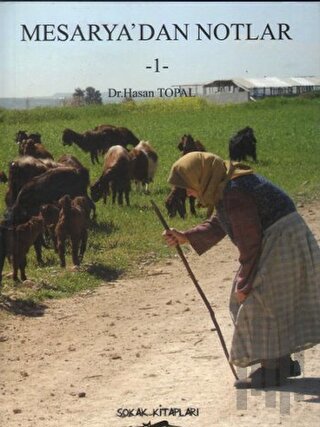 Mesarya'dan Notlar 1