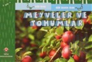 Meyveler ve Tohumlar - Bir Bak Bir Daha Bak