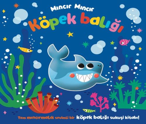 Mıncır Mıncır Köpek Balığı | Kitap Ambarı