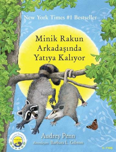 Minik Rakun Arkadaşında Yatıya Kalıyor | Kitap Ambarı