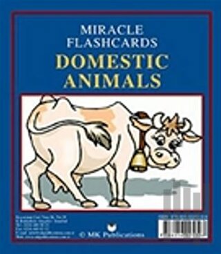 Miracle Flashcards - Domestic Animals | Kitap Ambarı