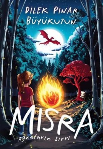Mısra - Aynaların Sırrı | Kitap Ambarı