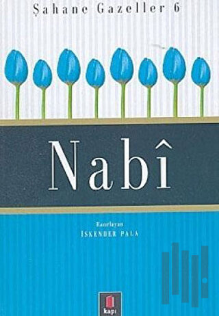 Nabi Şahane Gazeller 6 (Ciltli) | Kitap Ambarı