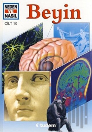 Neden ve Nasıl Cilt 10: Beyin (Ciltli)