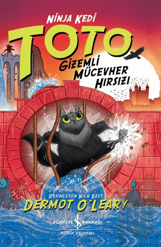 Ninja Kedi Toto - Gizemli Mücevher Hırsızı | Kitap Ambarı
