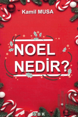 Noel Nedir?