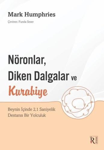 NöronlarDiken Dalgalar ve Kurabiye Beynin İçinde 21 Saniyelik Destansı Bir Yolculuk