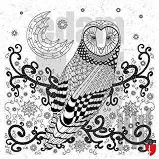 Nuh’un Gemisi Baykuş Tuval Boyama