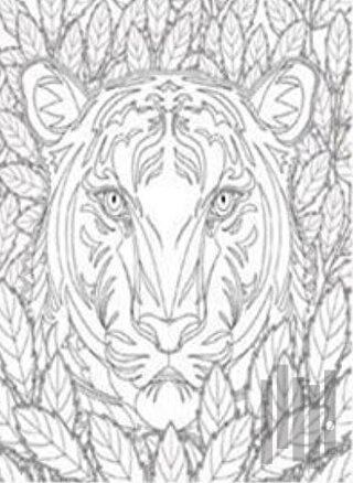 Nuh’un Gemisi Kaplan Tuval Boyama