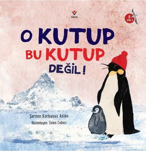 O Kutup Bu Kutup Değil!