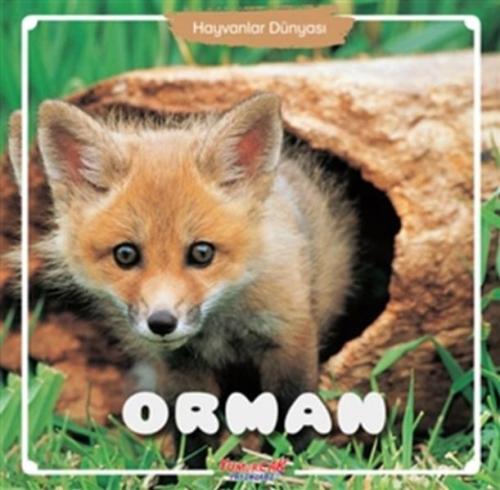 Orman - Hayvanlar Dünyası | Kitap Ambarı