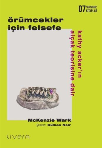 Örümcekler İçin Felsefe - Kathy Acker'ın Alçak Teorisine Dair