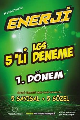 Palme Enerji LGS 1. Dönem 5'li Deneme