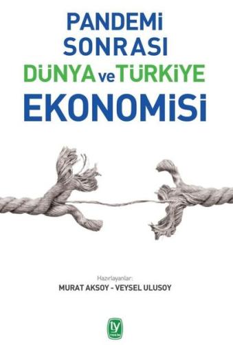 Pandemi Sonrası Dünya ve Türkiye Ekonomisi | Kitap Ambarı