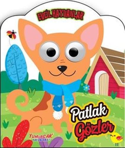 Patlak Gözler - Evcil Hayvanlar