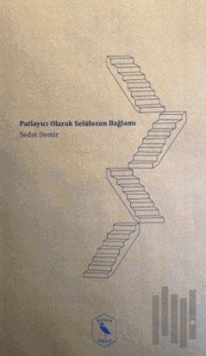 Patlayıcı Olarak Selülozun Bağlamı