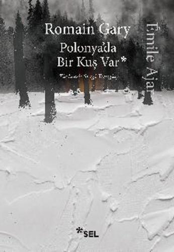 Polonya'da Bir Kuş Var | Kitap Ambarı
