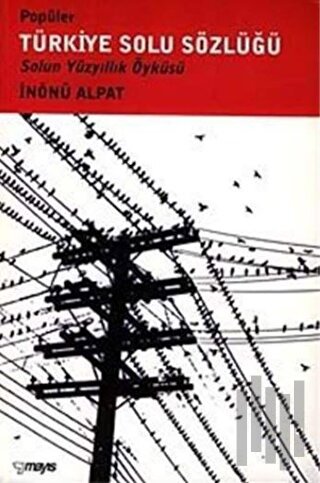Popüler Türkiye Solu Sözlüğü Solun Yüzyıllık Öyküsü
