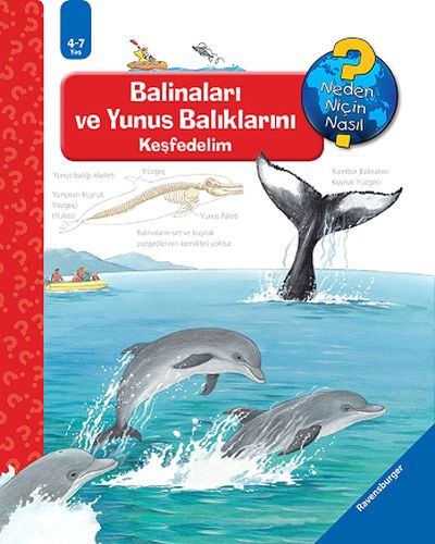 Ravensburger Maksi - Balinaları ve Yunus Balıklarını Keşfedelim (Ciltl