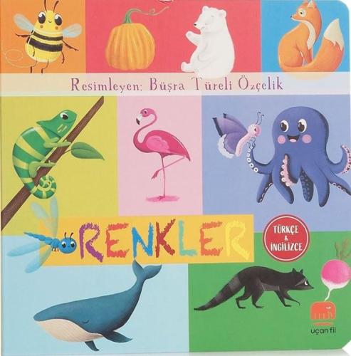 Renkler (Ciltli)