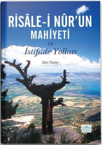 Risale-i Nur'un Mahiyeti ve İstifade Yolları | Kitap Ambarı