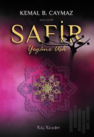 Safir - İkinci Kitap | Kitap Ambarı