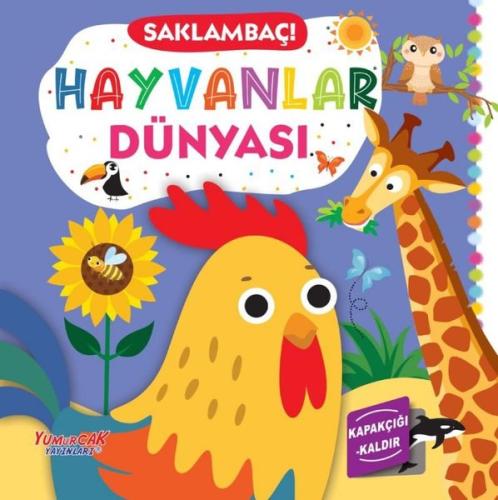 Saklambaç! Hayvanlar Dünyası (Ciltli)