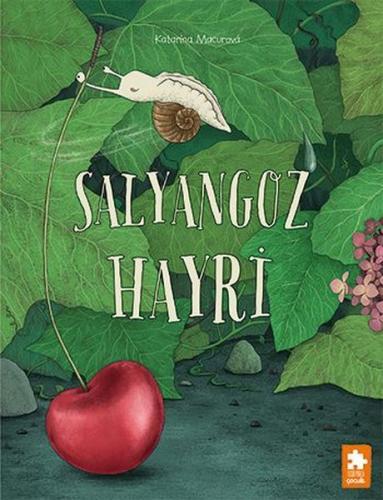 Salyangoz Hayri | Kitap Ambarı