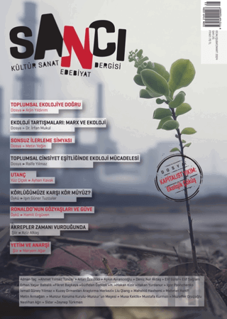 Sancı Kültür Sanat Edebiyat Dergisi Sayı: 25 | Kitap Ambarı