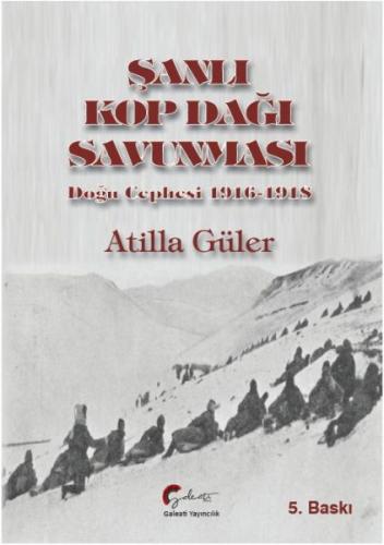 Şanlı Kop Dağı Savunması, Doğu Cephesi, 1916-1918