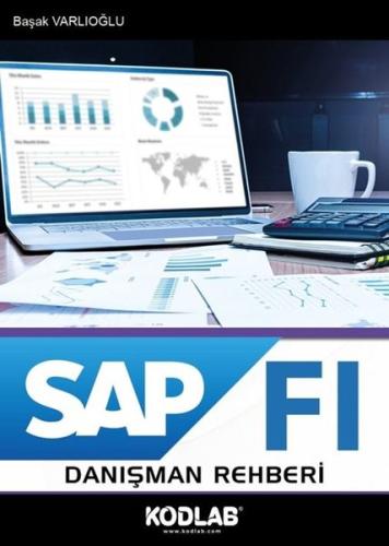 SAP FI Danışman Rehberi