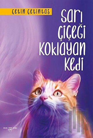 Sarı Çiçeği Koklayan Kedi