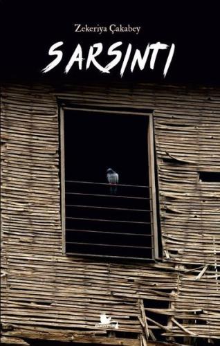 Sarsıntı | Kitap Ambarı